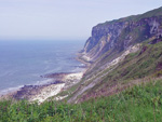 Open geograph page re Speeton Cliffs in a new window